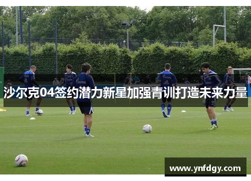 沙尔克04签约潜力新星加强青训打造未来力量