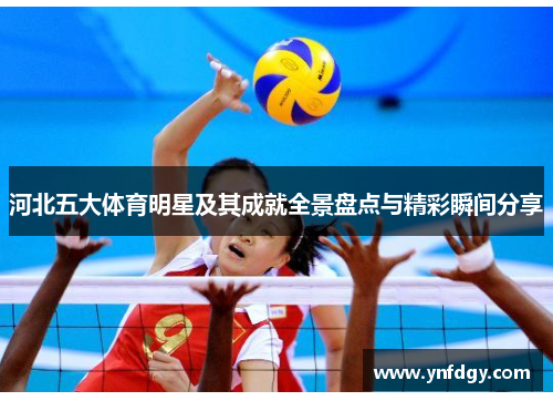 河北五大体育明星及其成就全景盘点与精彩瞬间分享