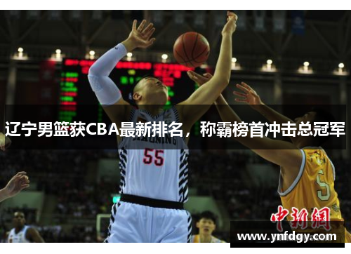 辽宁男篮获CBA最新排名，称霸榜首冲击总冠军