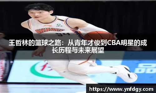 王哲林的篮球之路：从青年才俊到CBA明星的成长历程与未来展望
